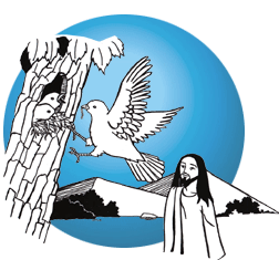 Grupo de Oração Semeando a Paz: LITURGIA DIÁRIA - SEGUIR JESUS É VIVER  CONFORME SEU EVANGELHO